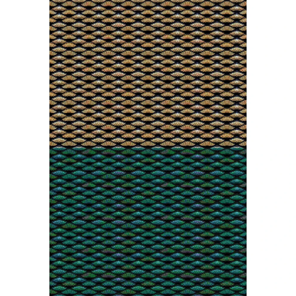 Rivestimento murale 3