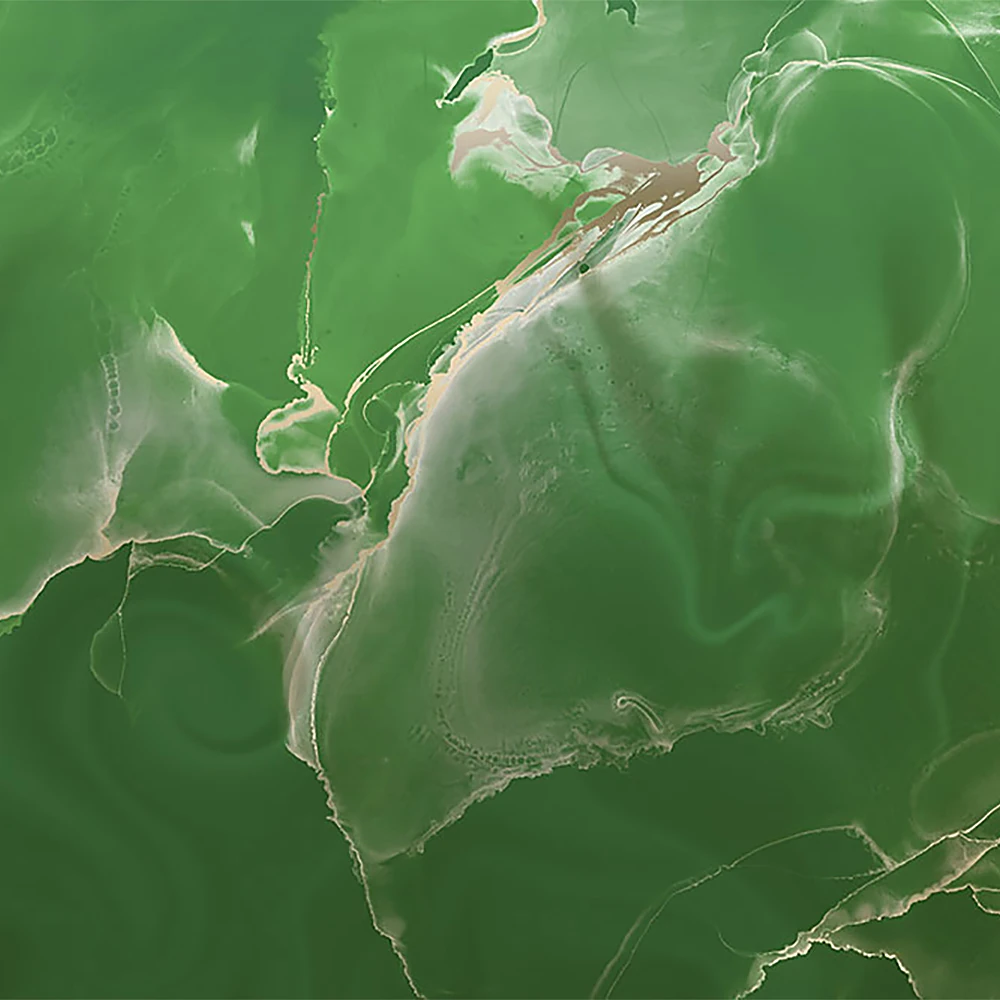 Պատի ծածկույթներ 1