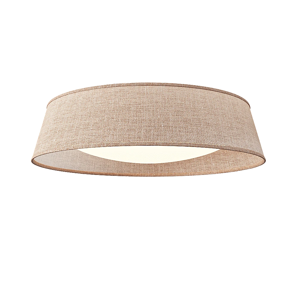 Ceiling lamp 1