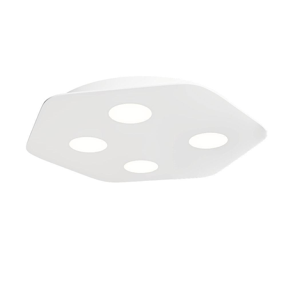 Ceiling lamp 1