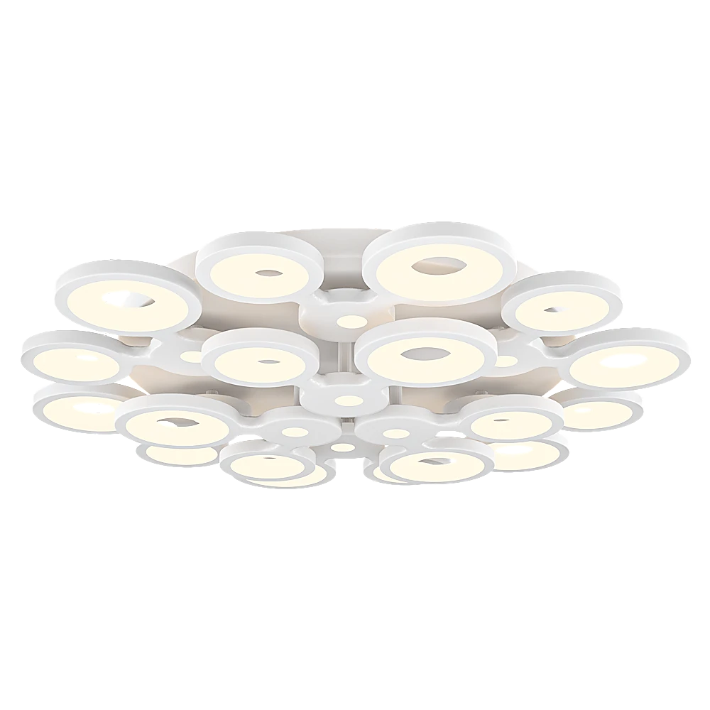 Ceiling lamp 1