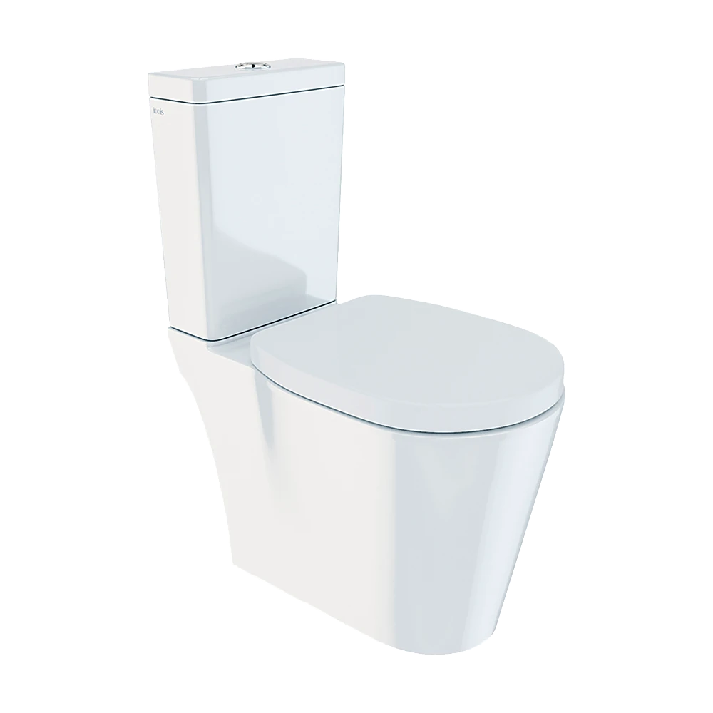 Toilet and Bidet 1
