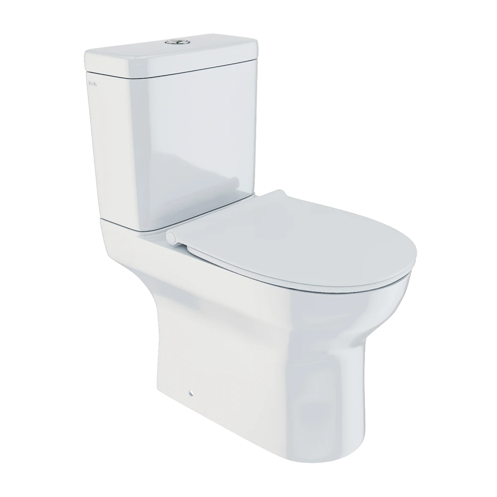 Toilet and Bidet 1