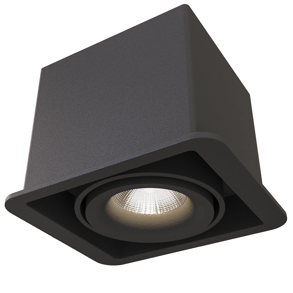 Spot light 1