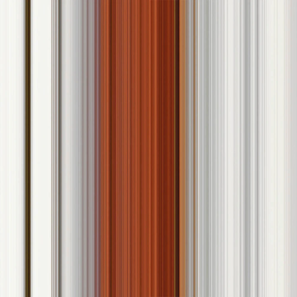 Recubrimiento de pared 1