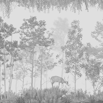 Fawn in the forest monochrome