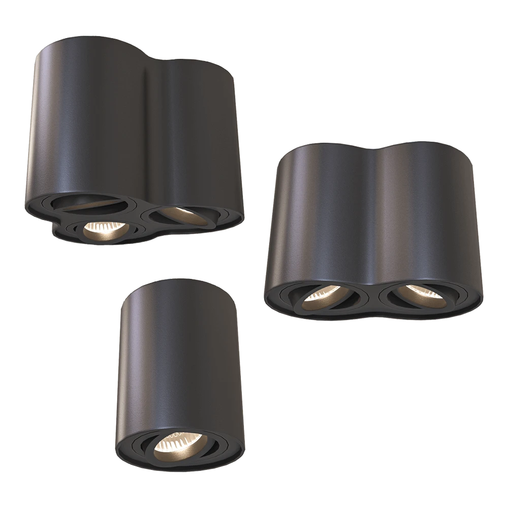 Spot light 1