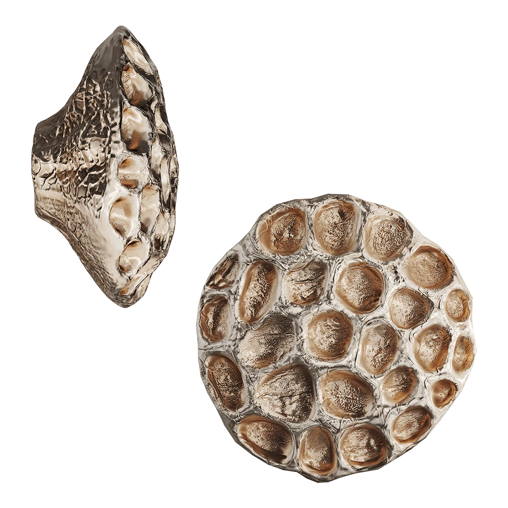 Այլ դեկորատիվ առարկաներ 1