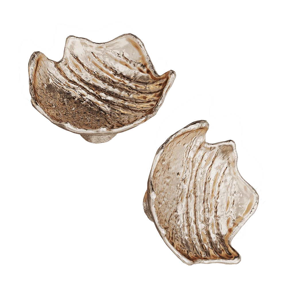 Poignées (Porte et Autre) 1