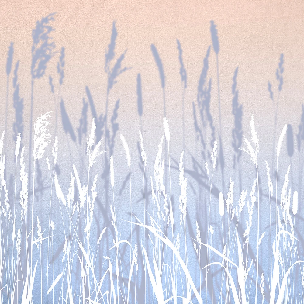 Recubrimiento de pared 1