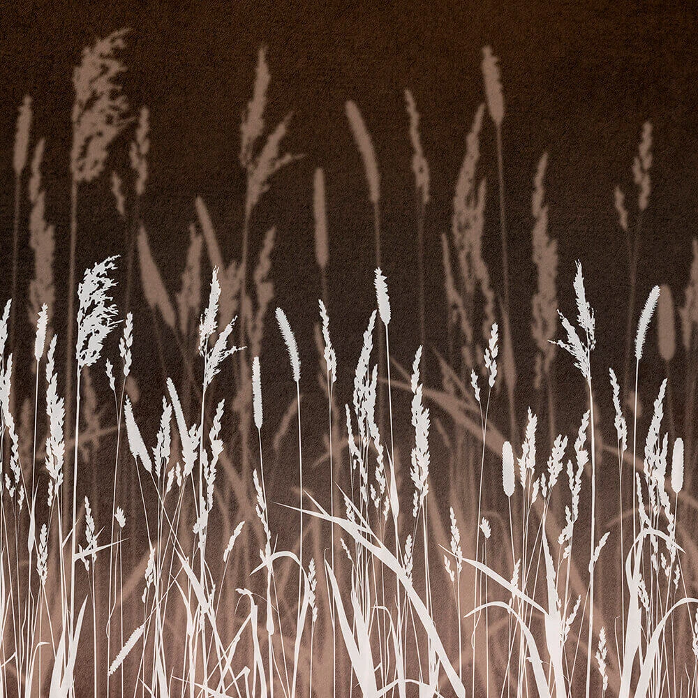 Recubrimiento de pared 2