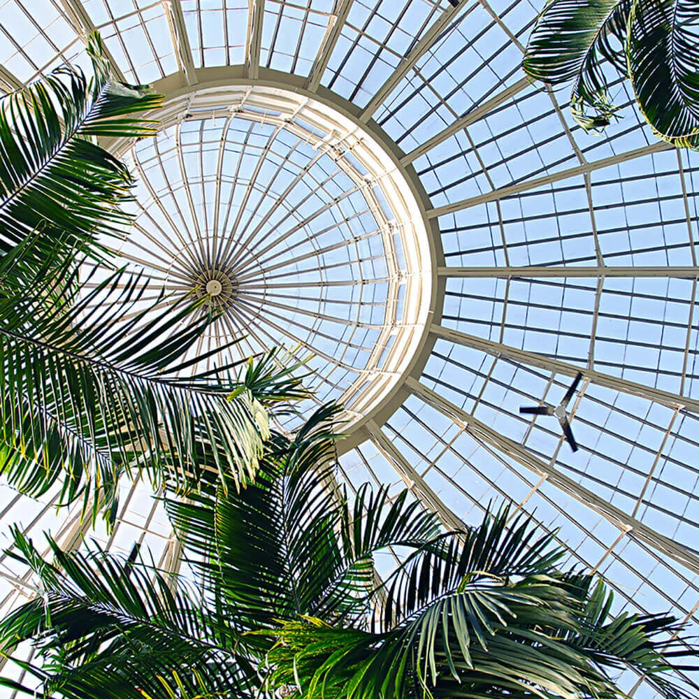 Recubrimiento de pared 1