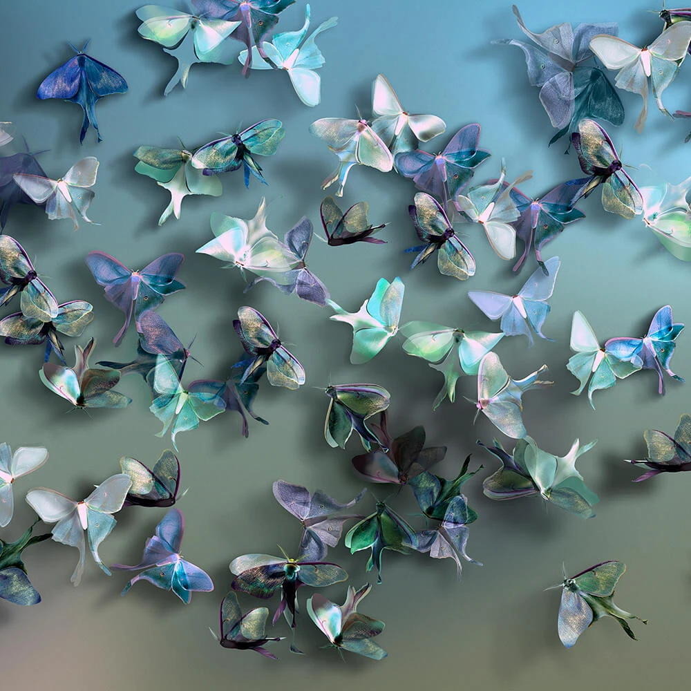 Rivestimento murale 1