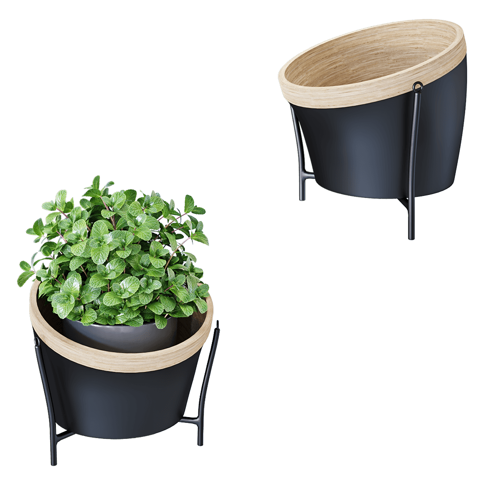 Planters for flowers MON15 1