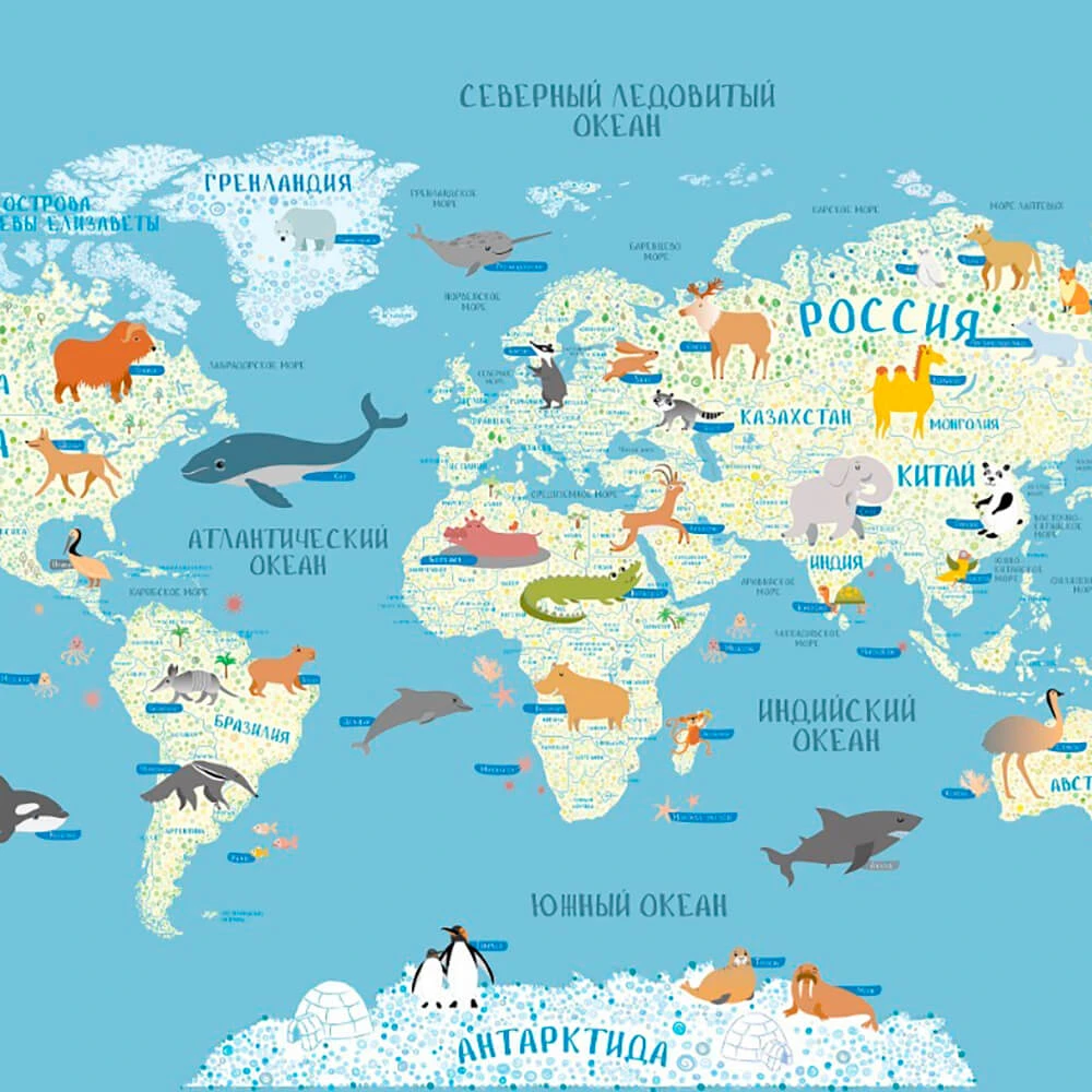 Recubrimiento de pared 1