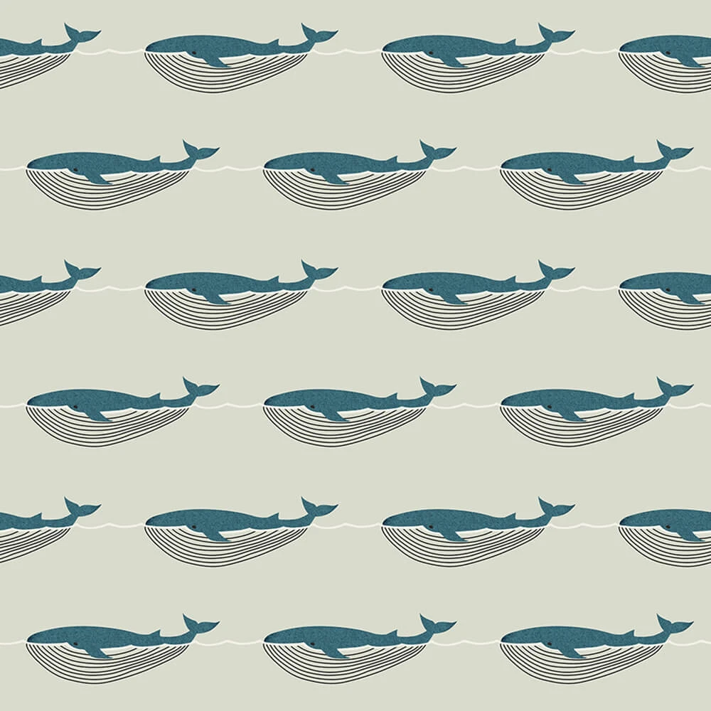 Պատի ծածկույթներ 1