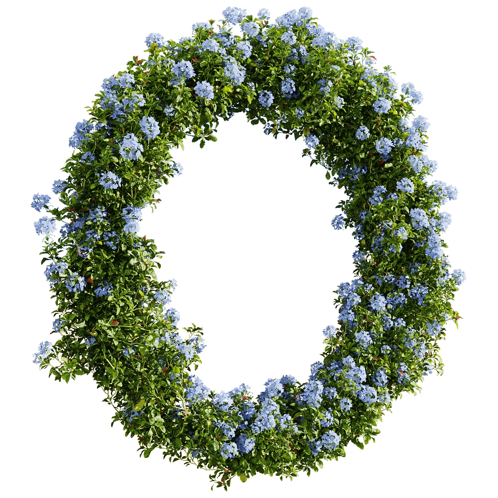 Flowering Plant Arch with Blue Flowers