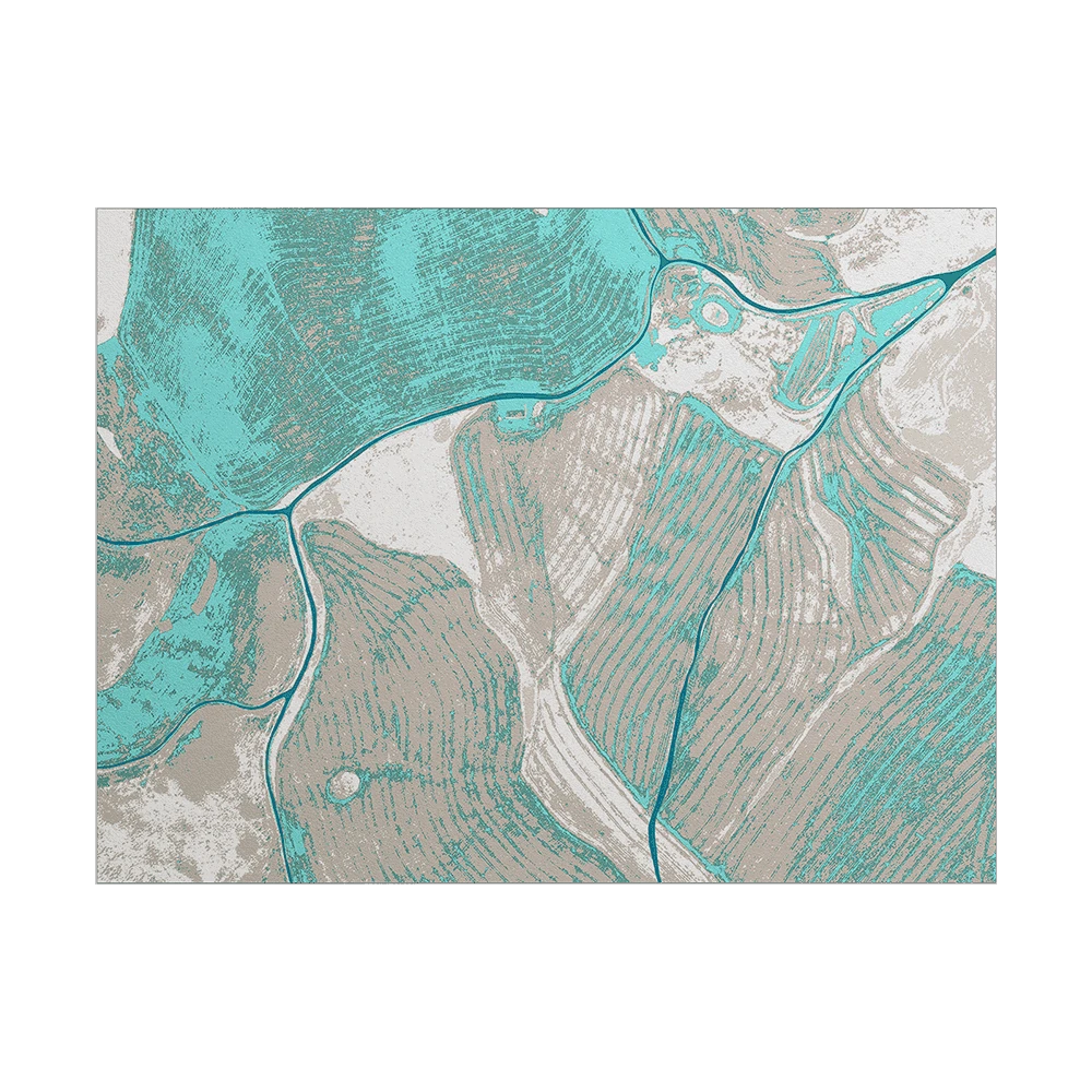 Carpet Y-O2 Birds Eye View BI3.02 (2)