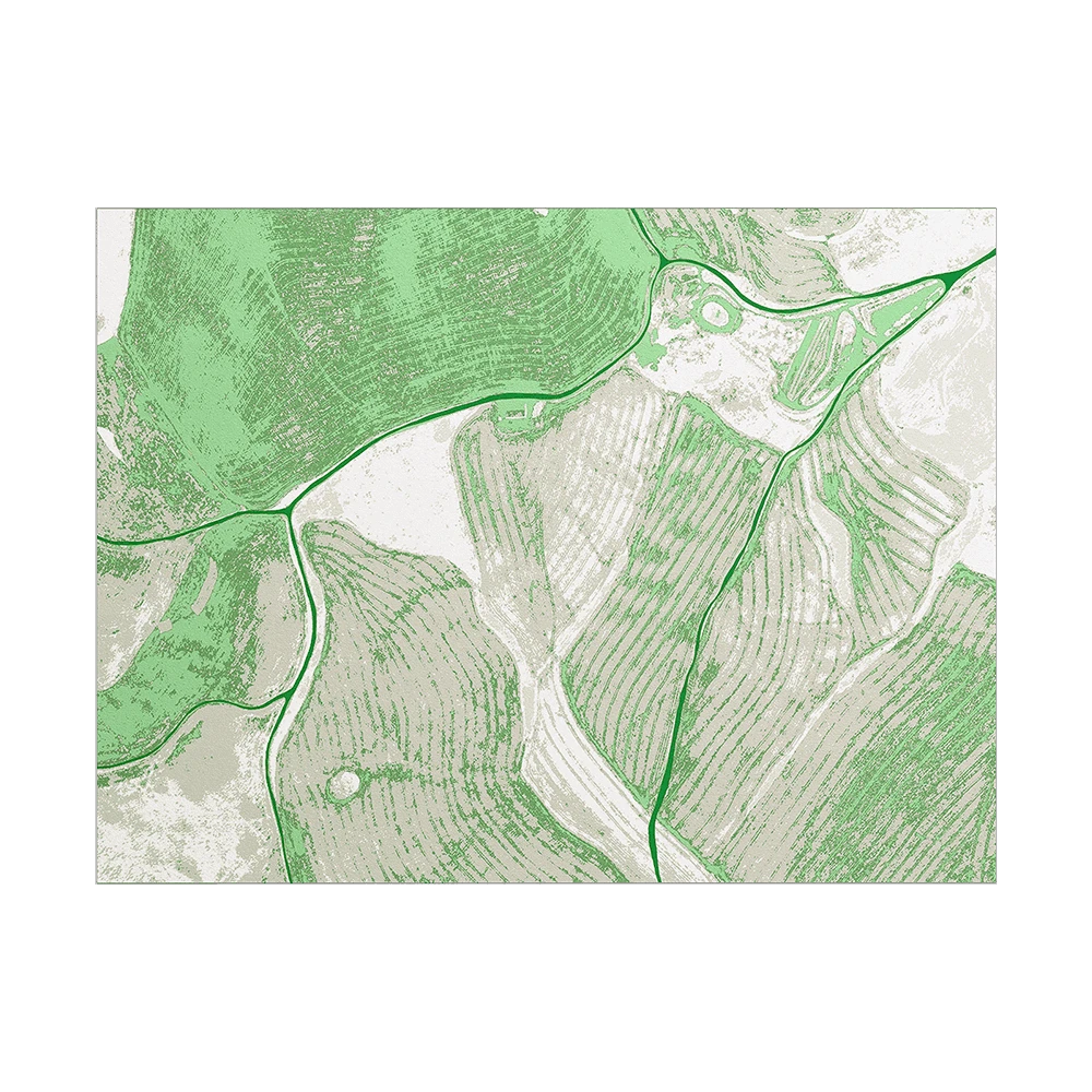 Carpet Y-O2 Birds Eye View BI3.02 (3)