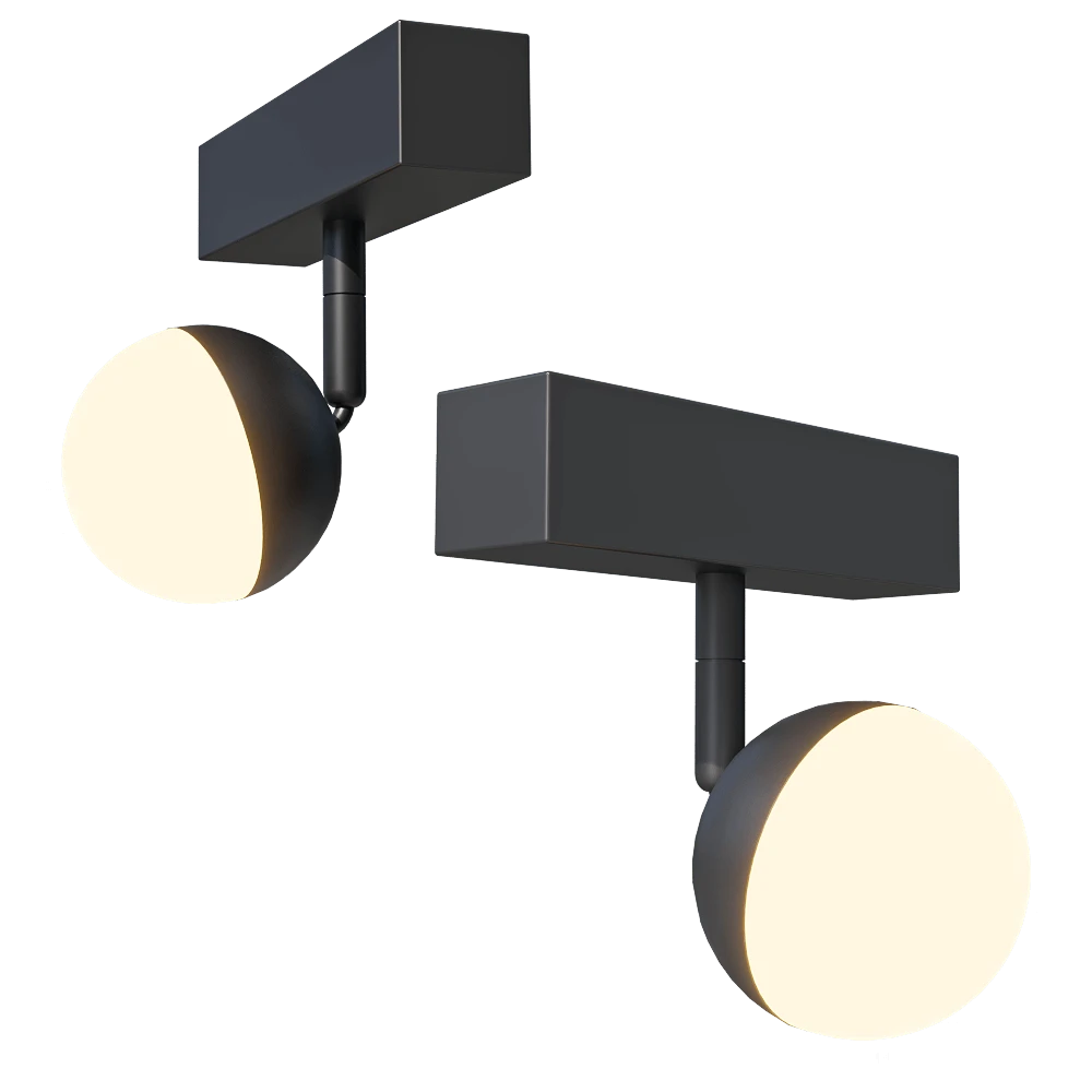 Spot light 1