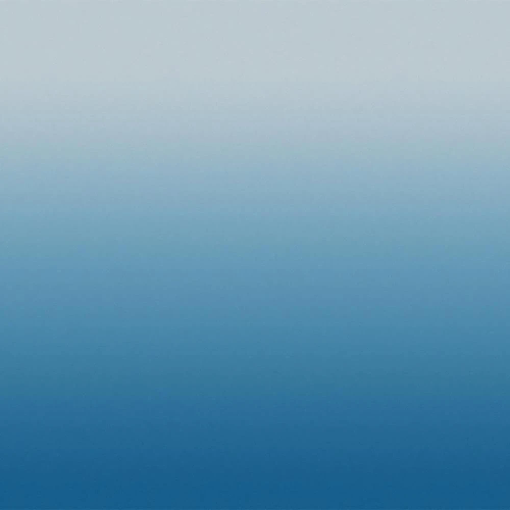 Rivestimento murale 1