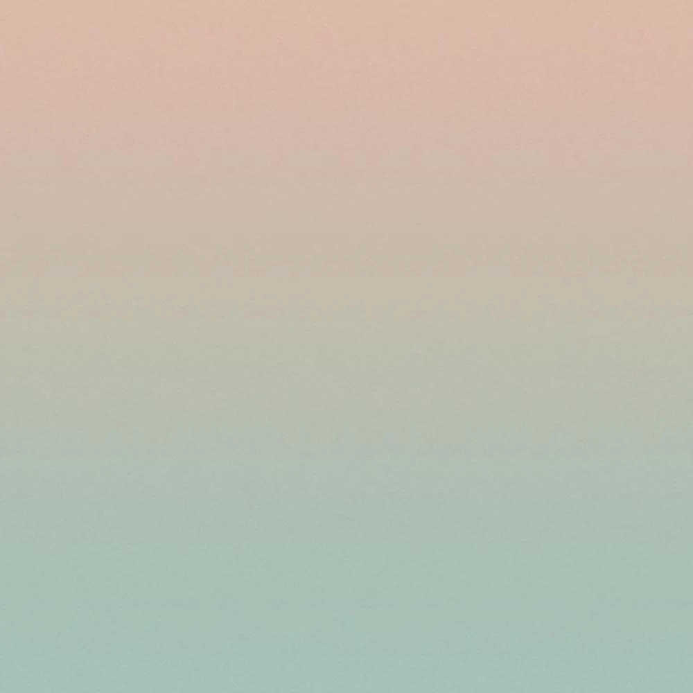 Recubrimiento de pared 1