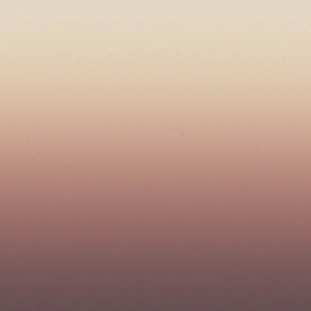 Rivestimento murale 1