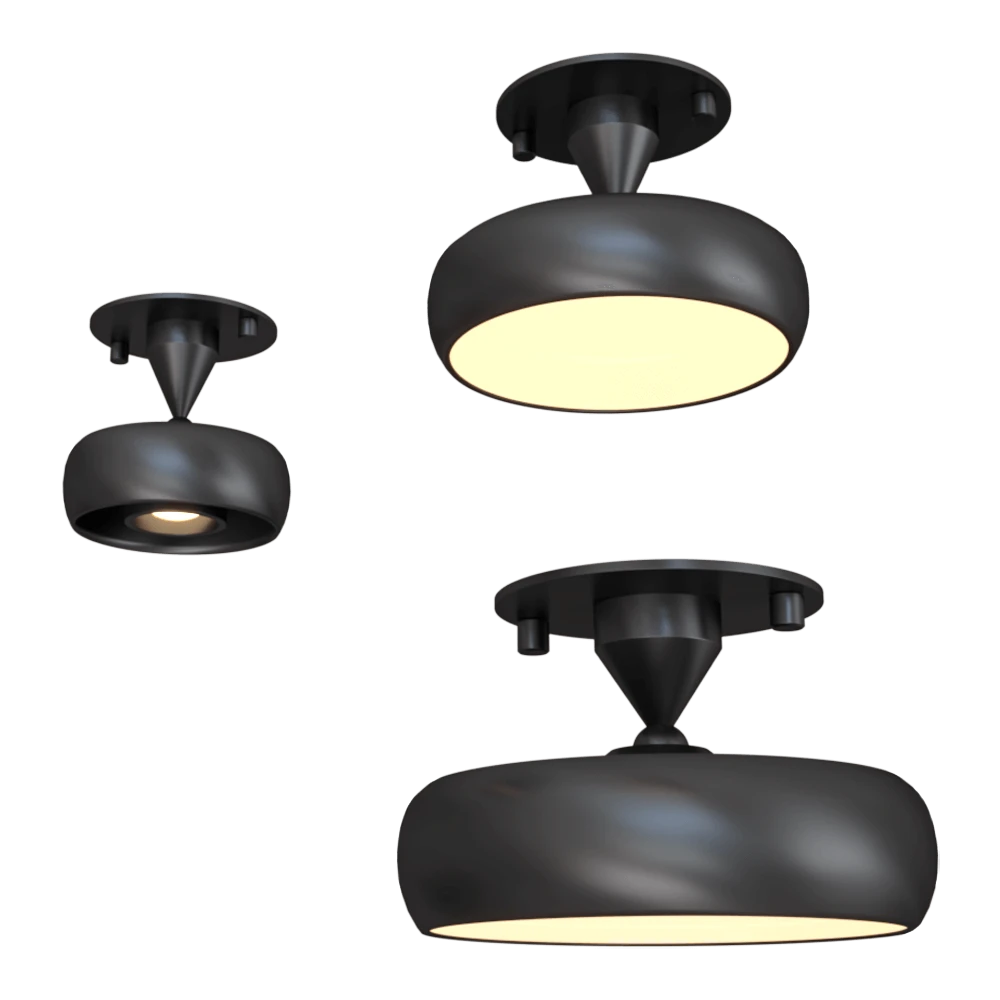 Spot light Chors Myco In