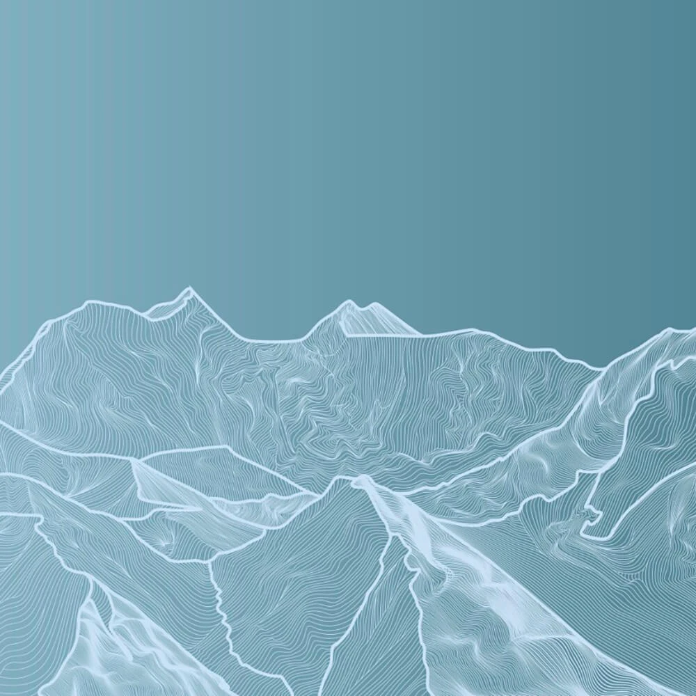 Պատի ծածկույթներ 2