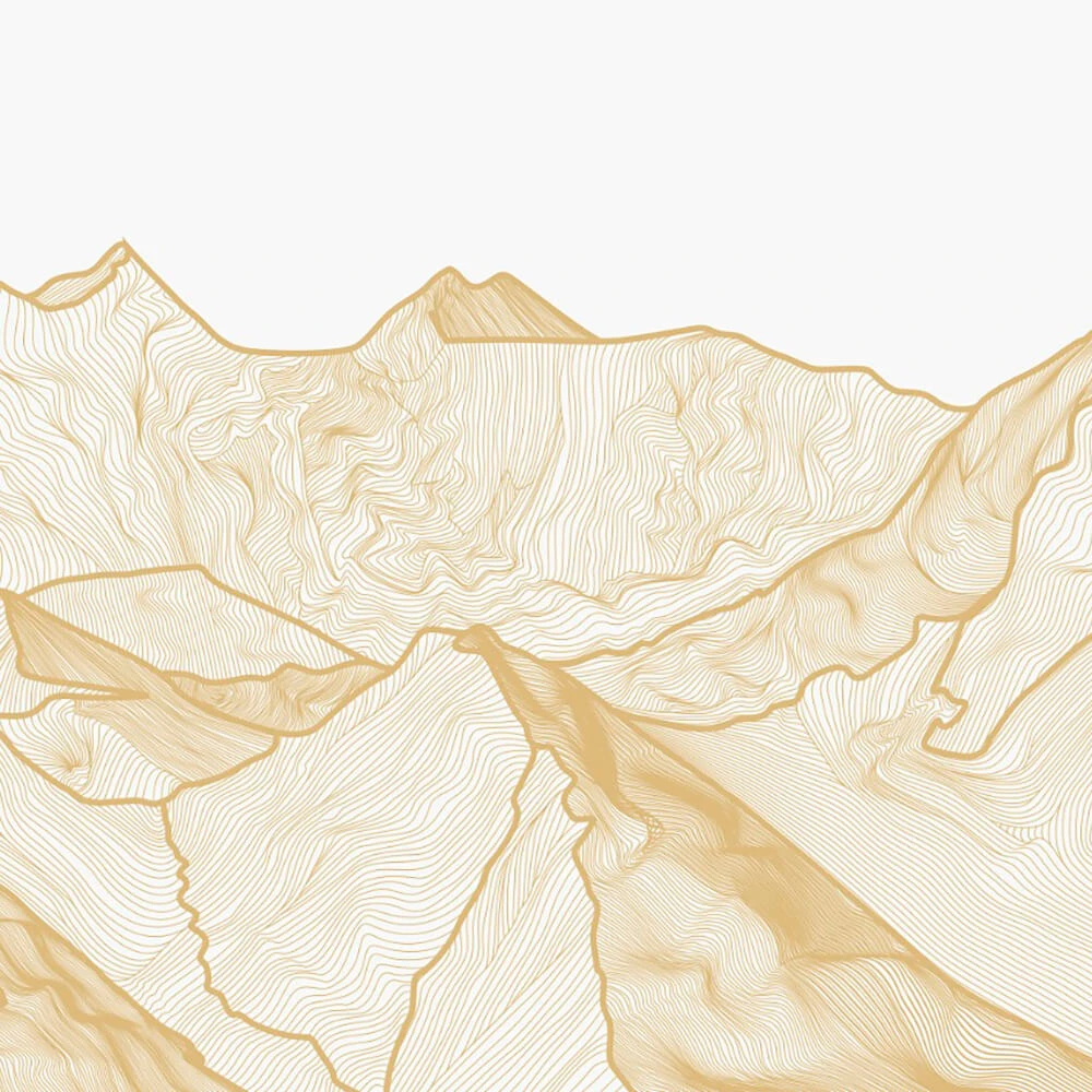 Պատի ծածկույթներ 3