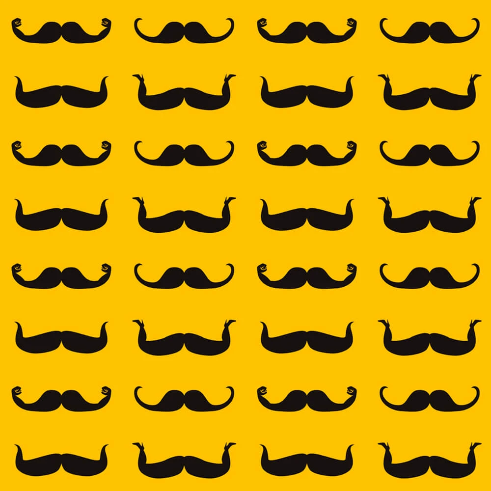 Recubrimiento de pared 1