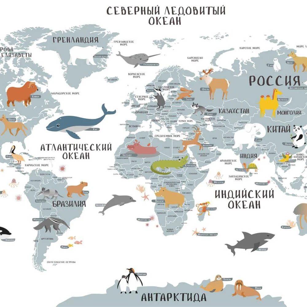 Recubrimiento de pared 2