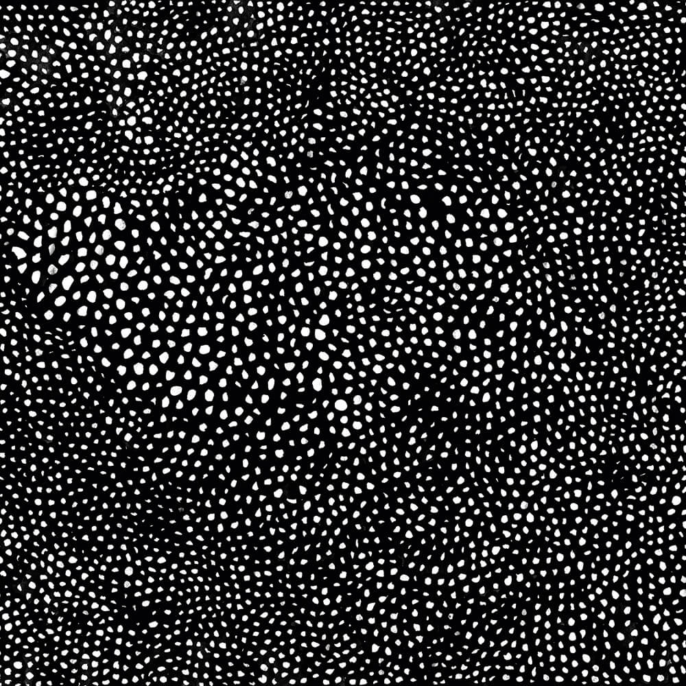 Wallpaper Spaghetti Wall Barriera Corallina WPN 105 (2)