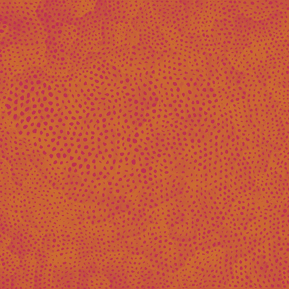 Wallpaper Spaghetti Wall Barriera Corallina WPN 105 (3)