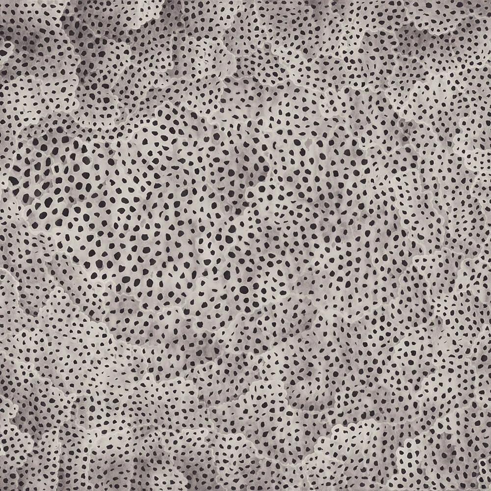Wallpaper Spaghetti Wall Barriera Corallina WPN 105 (5)