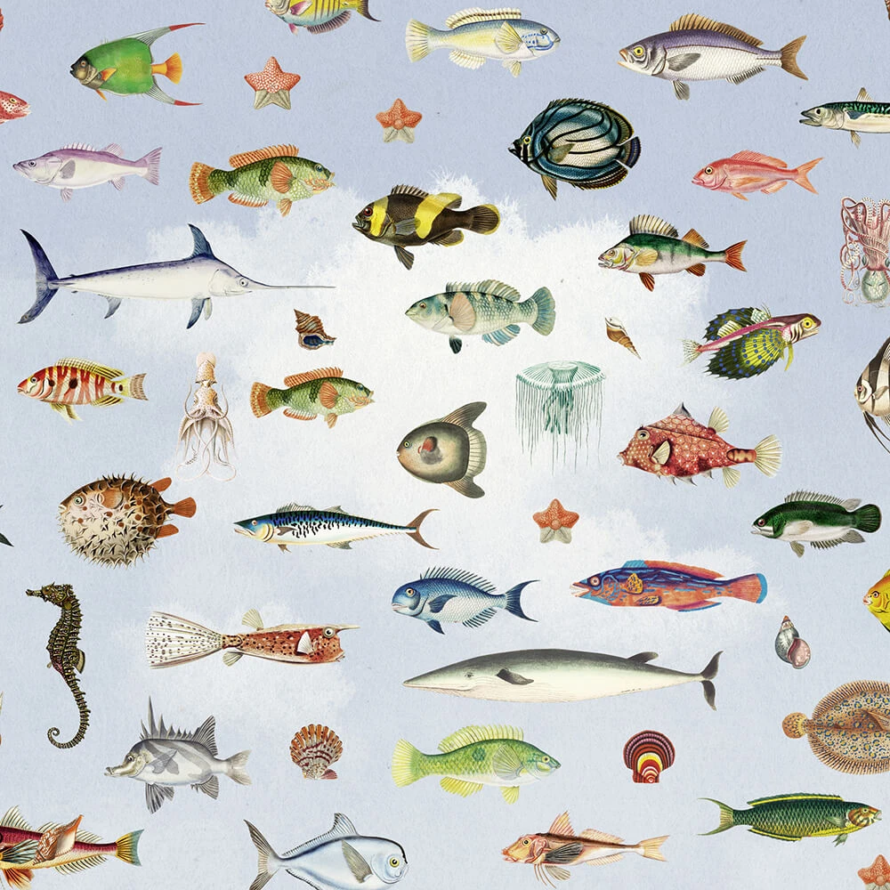 Wallpaper Spaghetti Wall Under the sea WPN 111