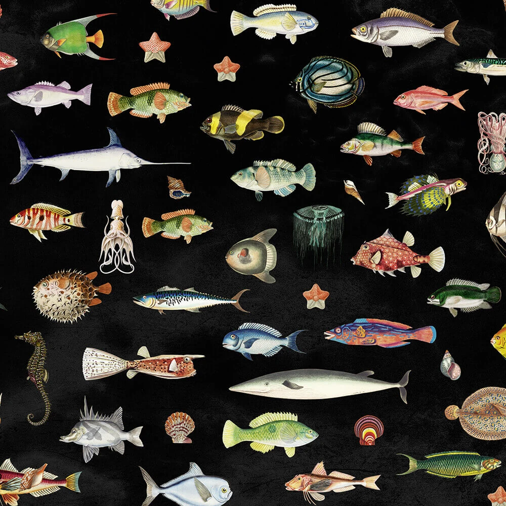 Wallpaper Spaghetti Wall Under the sea WPN 111 (2)