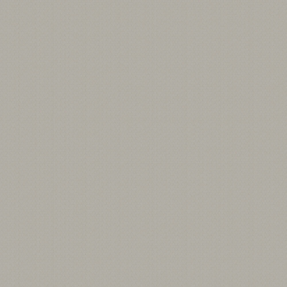 Wallpaper Spaghetti Wall Route One WPN 204 (4)