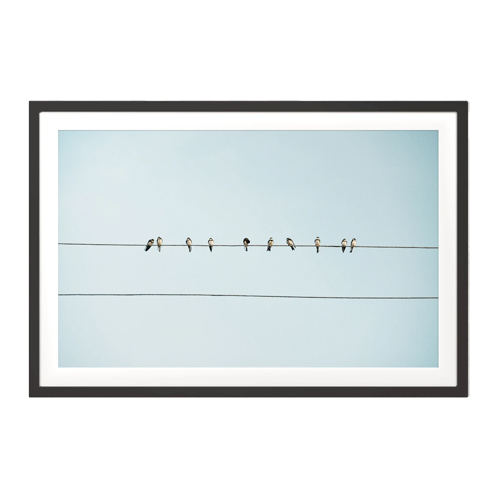 Minimalist Picture with Birds on Wires