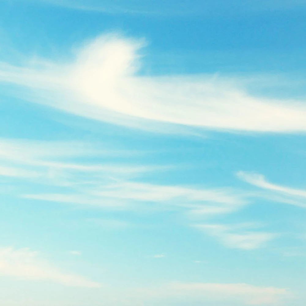 Rivestimento murale 1