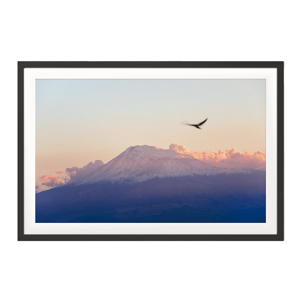 Framed Art Photograph with Mountain Landscape and Birds