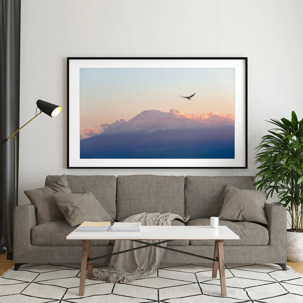 Framed Art Photograph with Mountain Landscape and Birds (2)