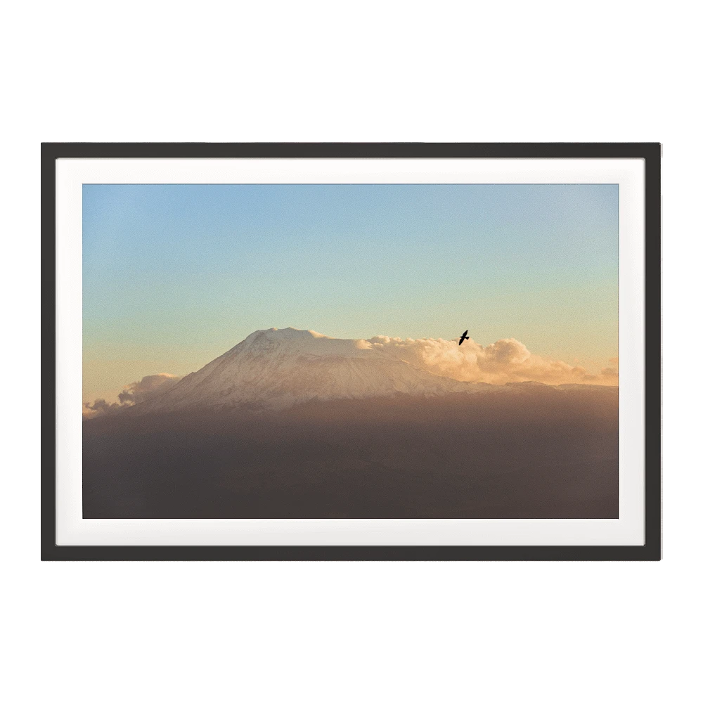 Framed Picture with Great Ararat & Birds