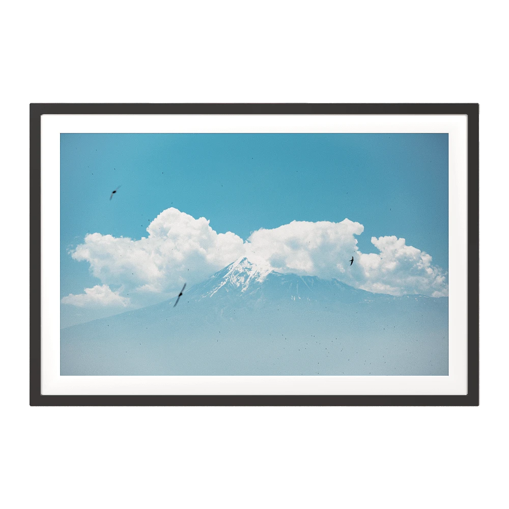 Framed Picture with Great Ararat & Swifts