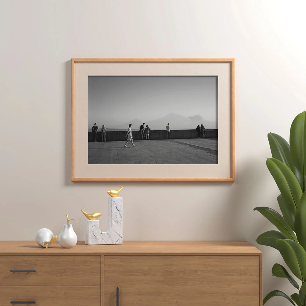 Framed Picture with Black and White Landscape (2)
