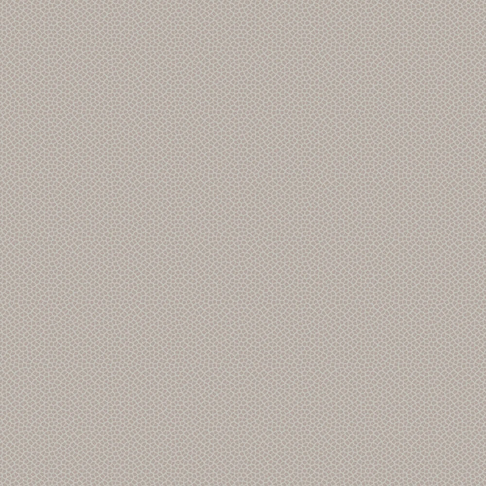 Wallpaper Spaghetti Wall Voronoi WPN 515 (2)