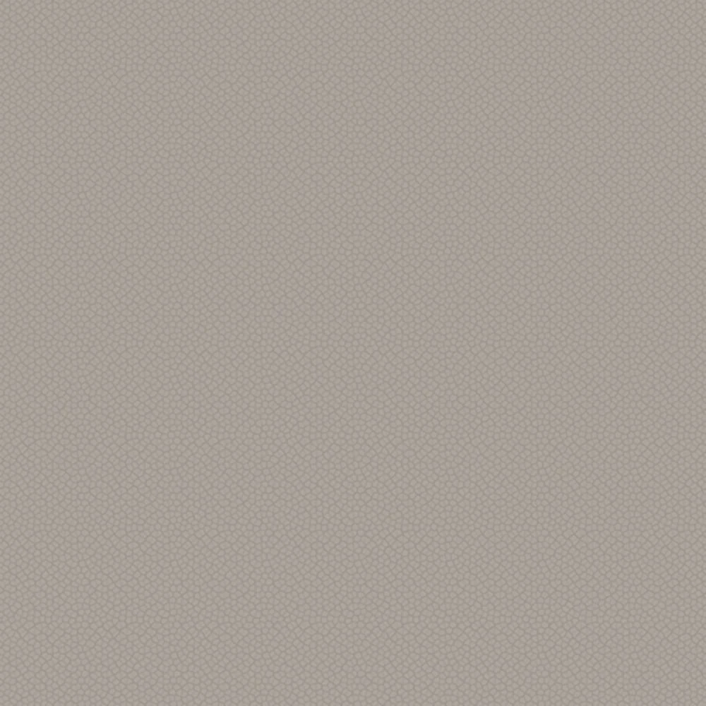 Wallpaper Spaghetti Wall Voronoi WPN 515 (3)