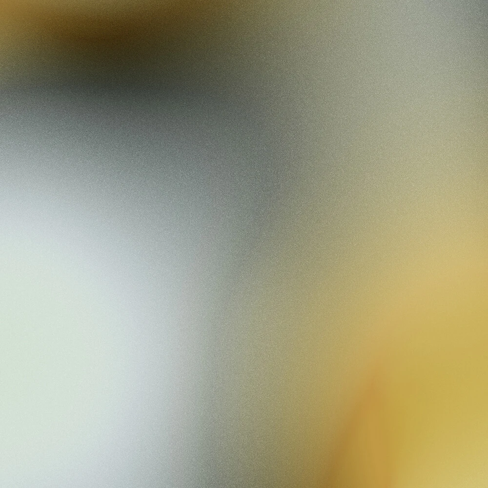 Wallpaper Spaghetti Wall Cromatique N°2 WPN 901
