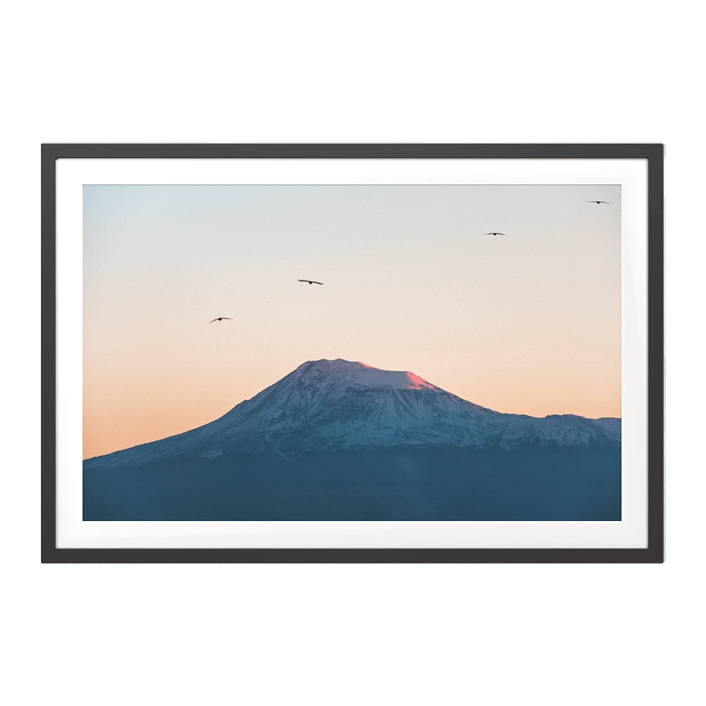 Framed Picture with Mount Ararat and Birds