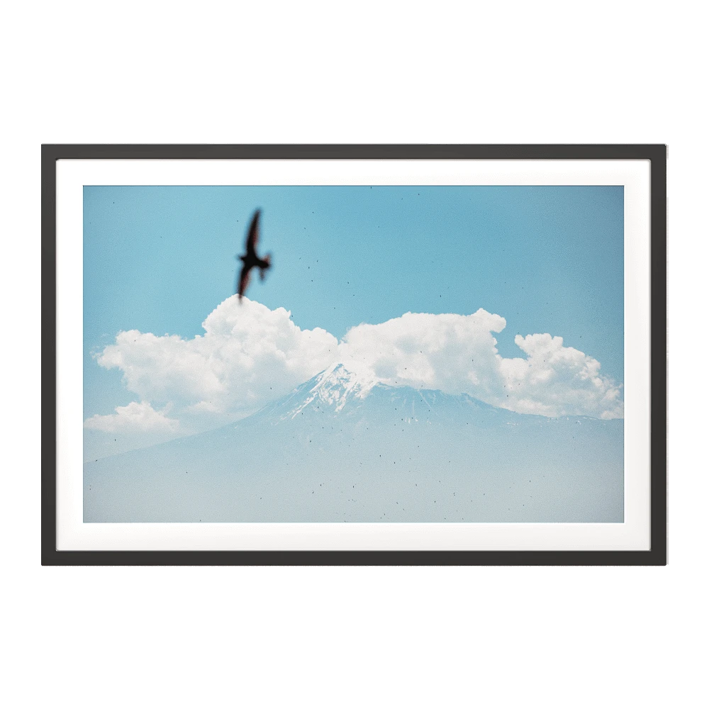 Framed Picture with Great Ararat Mountain and Swifts